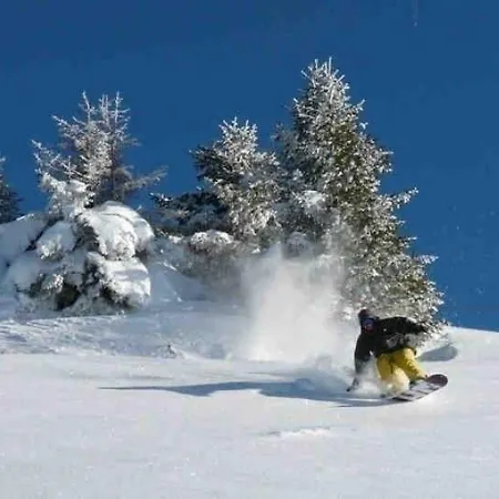 아파트 Chalet Var.b *
